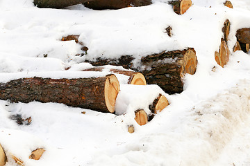 Image showing  winter season.   snow