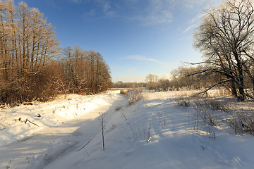 Image showing trees in winter  