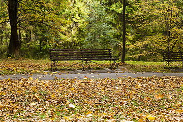 Image showing autumn forest  . Belarus