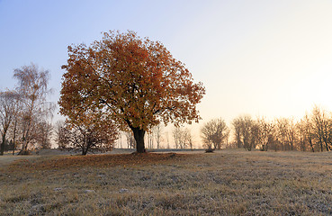 Image showing   autumn to winter