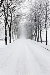 Image showing winter road .  with snow