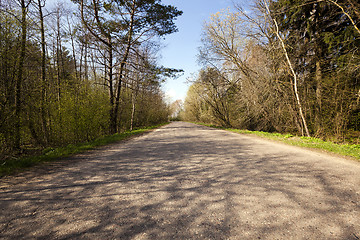 Image showing Spring road   . spring 