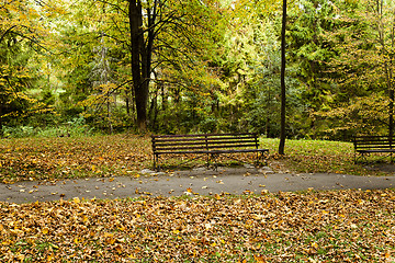 Image showing  the autumn season