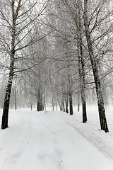 Image showing path in the snow 