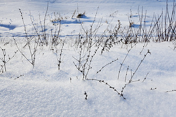 Image showing snow covered field  