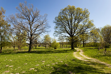 Image showing   rural Dirt road  