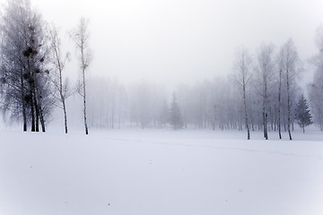 Image showing   park in winter