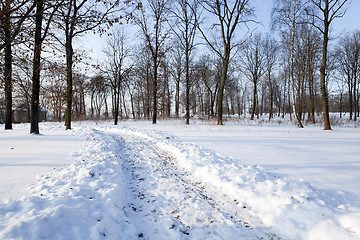 Image showing winter road.  track.