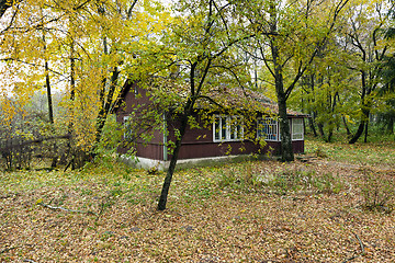 Image showing wooden house  . autumn  