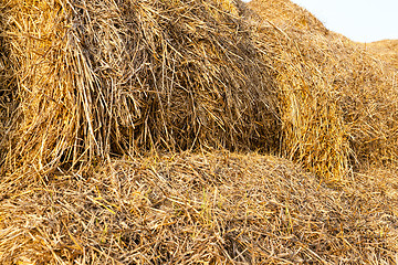 Image showing bales of straw  