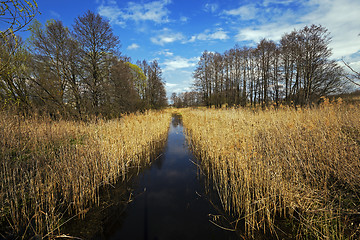 Image showing small lake . spring 