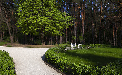 Image showing trees in spring  