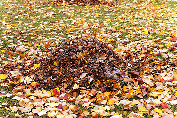 Image showing autumn trees  . Belarus