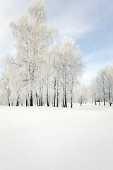 Image showing Winter Park . snow.