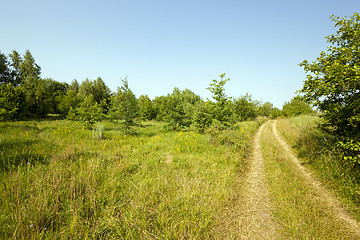 Image showing vanishing rural road 