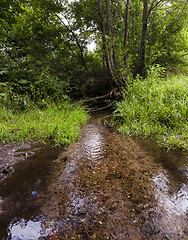 Image showing small lake . summer 