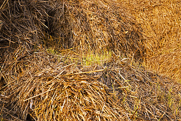 Image showing bales of straw 