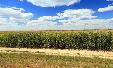 Image showing road in a field  