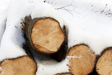 Image showing  winter season.   snow