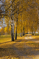 Image showing   park in autumn  