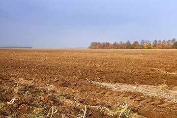 Image showing plowed agricultural field 