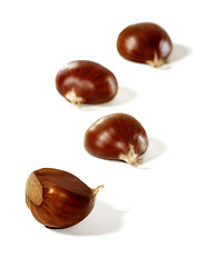 Image showing Chestnuts