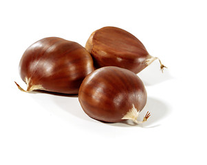 Image showing Chestnuts