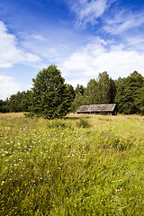 Image showing abandoned house . Belarus.