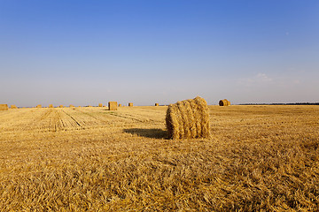 Image showing stack of straw  