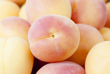 Image showing ripe apricots .  close-up  