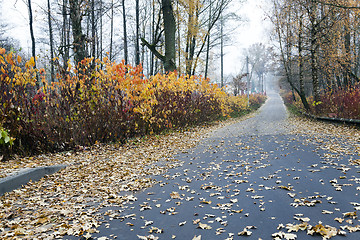 Image showing   the autumn season