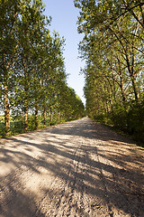 Image showing   road  in the countryside  