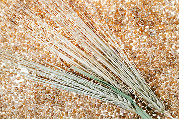 Image showing wheat  close up 