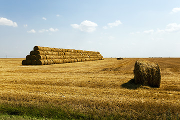 Image showing stack of straw in the field  