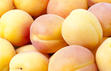 Image showing ripe apricots .  close-up  