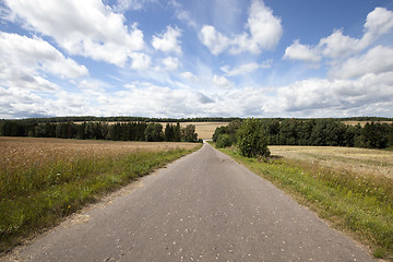 Image showing Summer road  . field