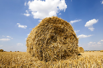 Image showing stack of straw in the field  