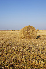 Image showing haystacks straw  . summer