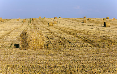 Image showing stack of straw  