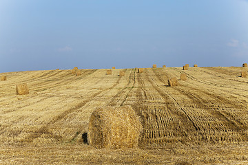 Image showing haystacks straw  . summer