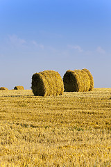 Image showing haystacks straw  . summer