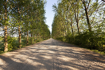 Image showing  road in the countryside 