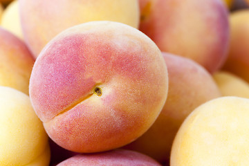 Image showing ripe apricots .  close-up  