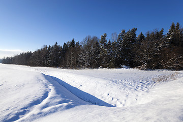 Image showing   snow on the ground