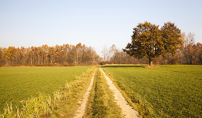 Image showing Spring road .  countryside 