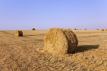 Image showing stack of straw  