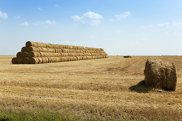 Image showing Stack of straw . summer