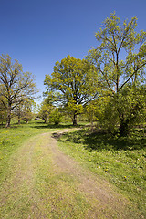 Image showing Spring road.  countryside 