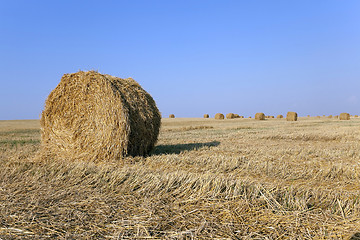 Image showing haystacks straw  . summer