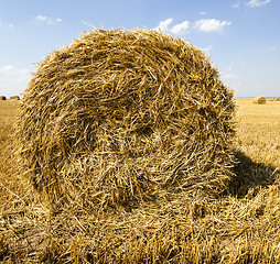 Image showing haystacks straw  . summer